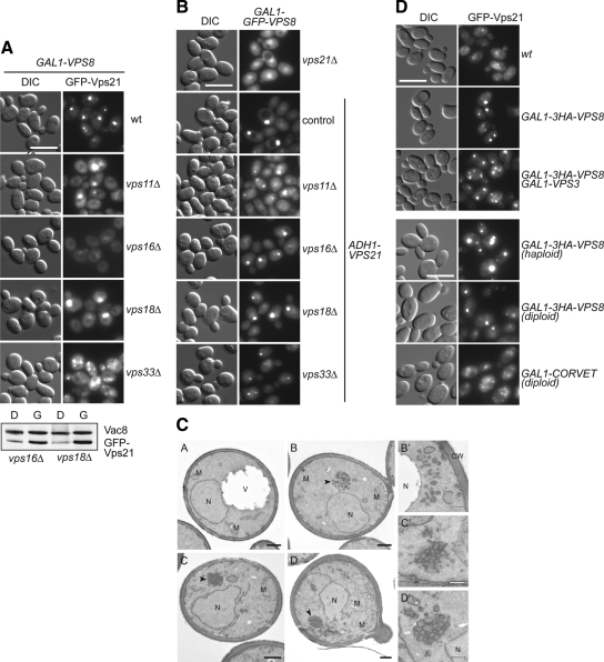 Figure 6.