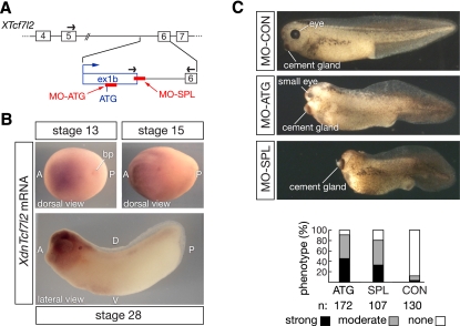 Figure 6.