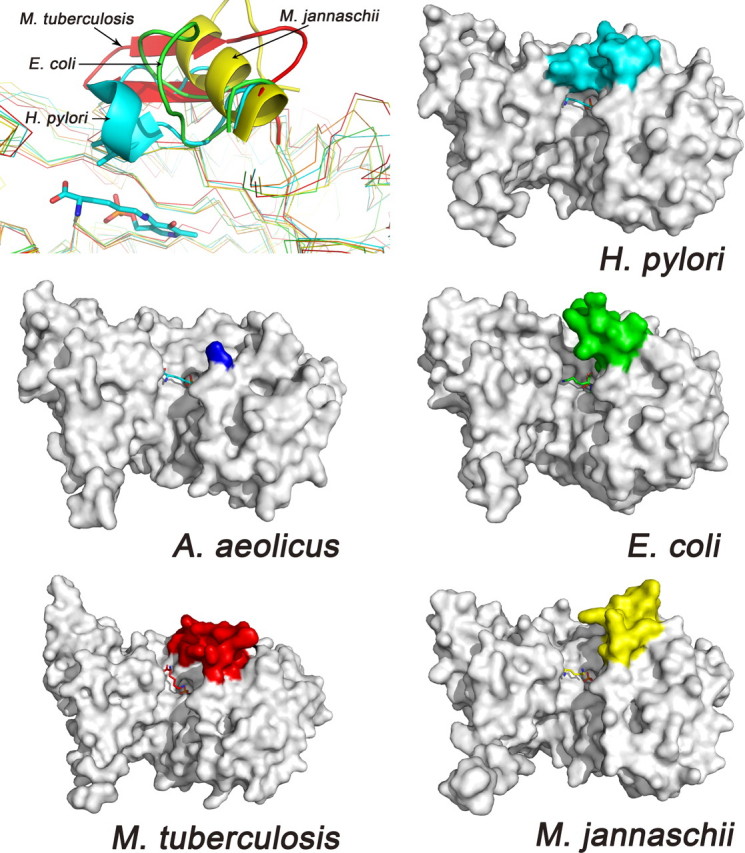 FIGURE 5.