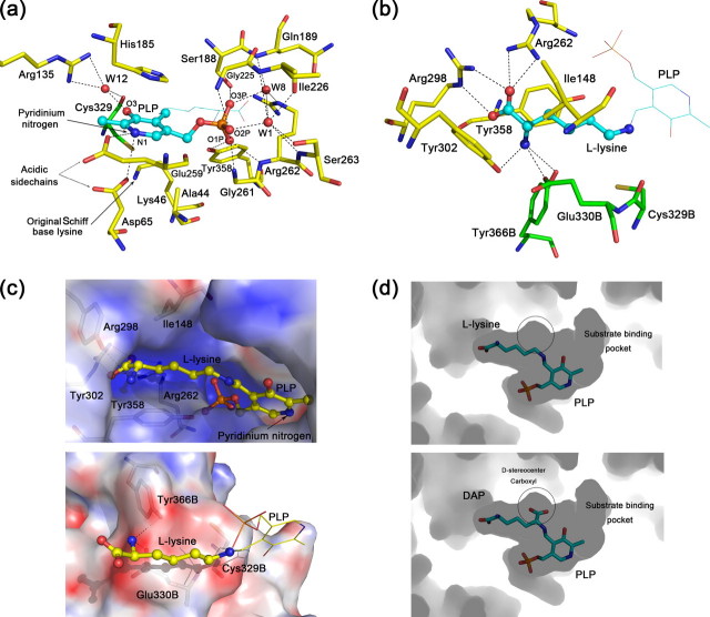 FIGURE 2.