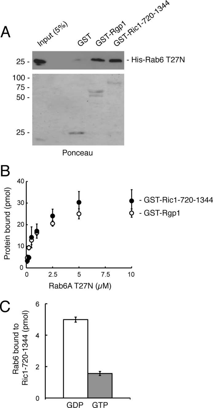 FIGURE 4.