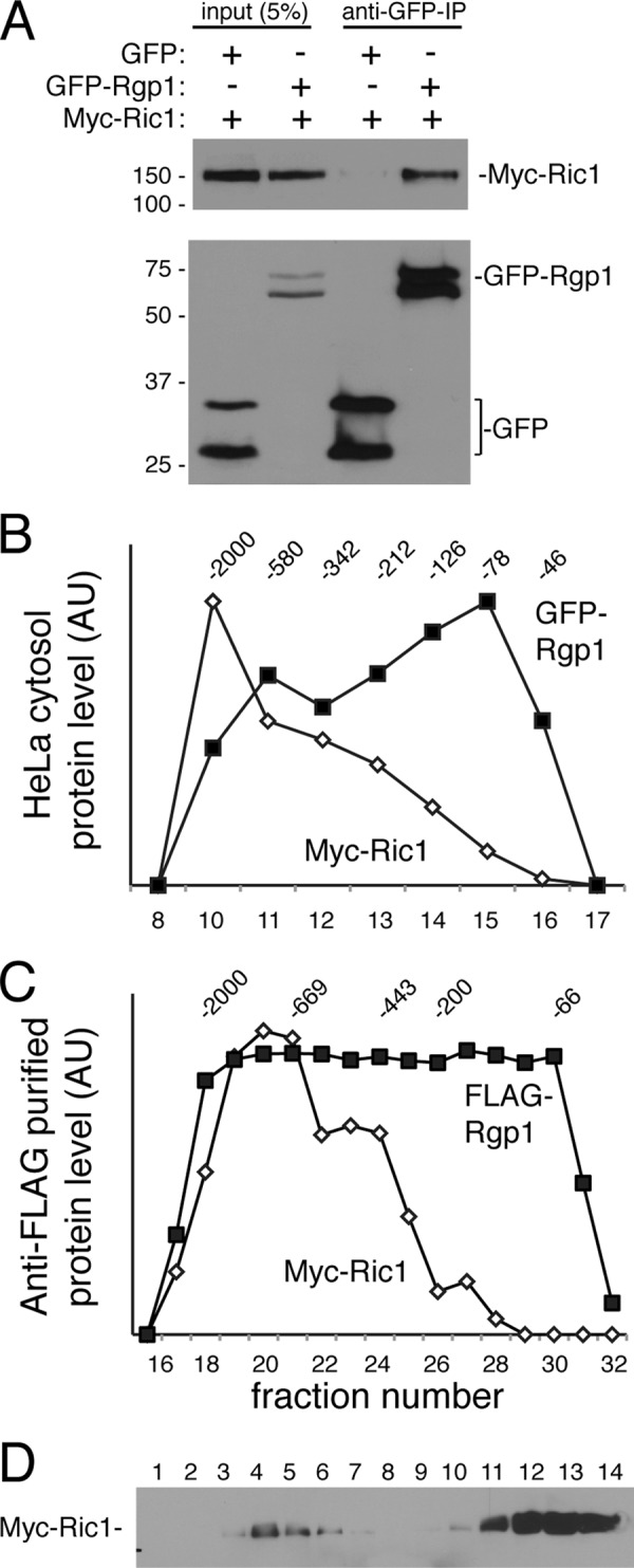 FIGURE 1.