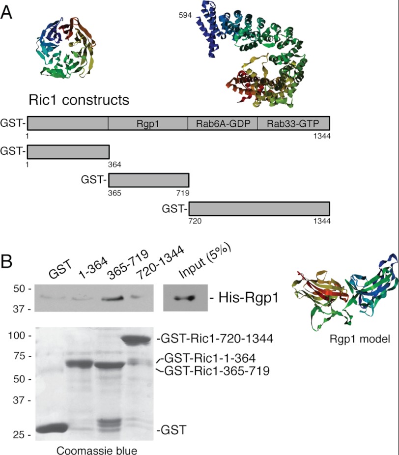 FIGURE 2.