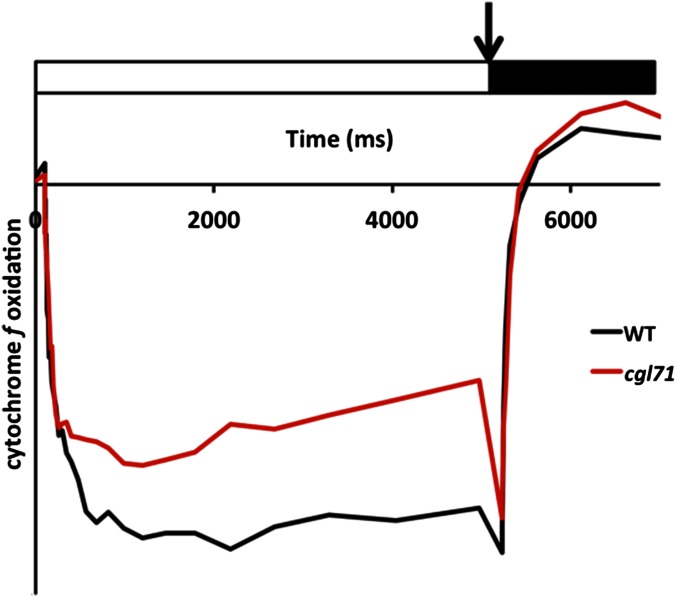 Fig. S3.