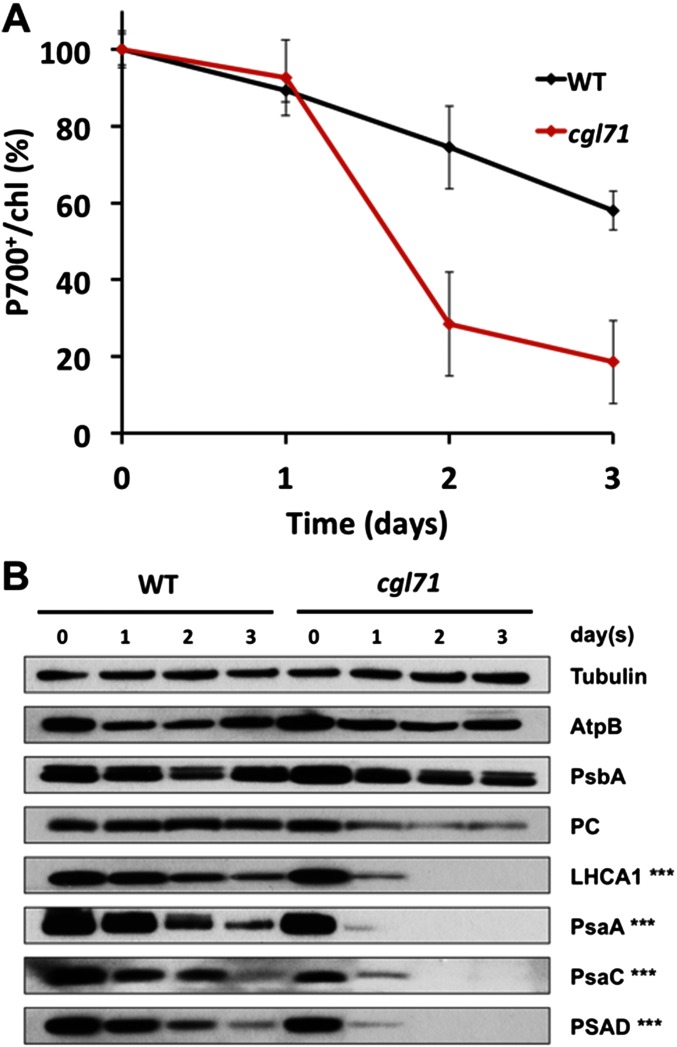 Fig. S6.