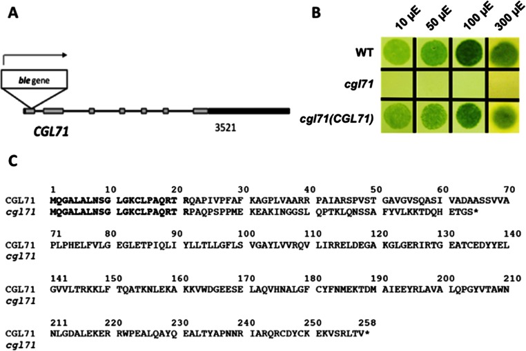 Fig. S1.