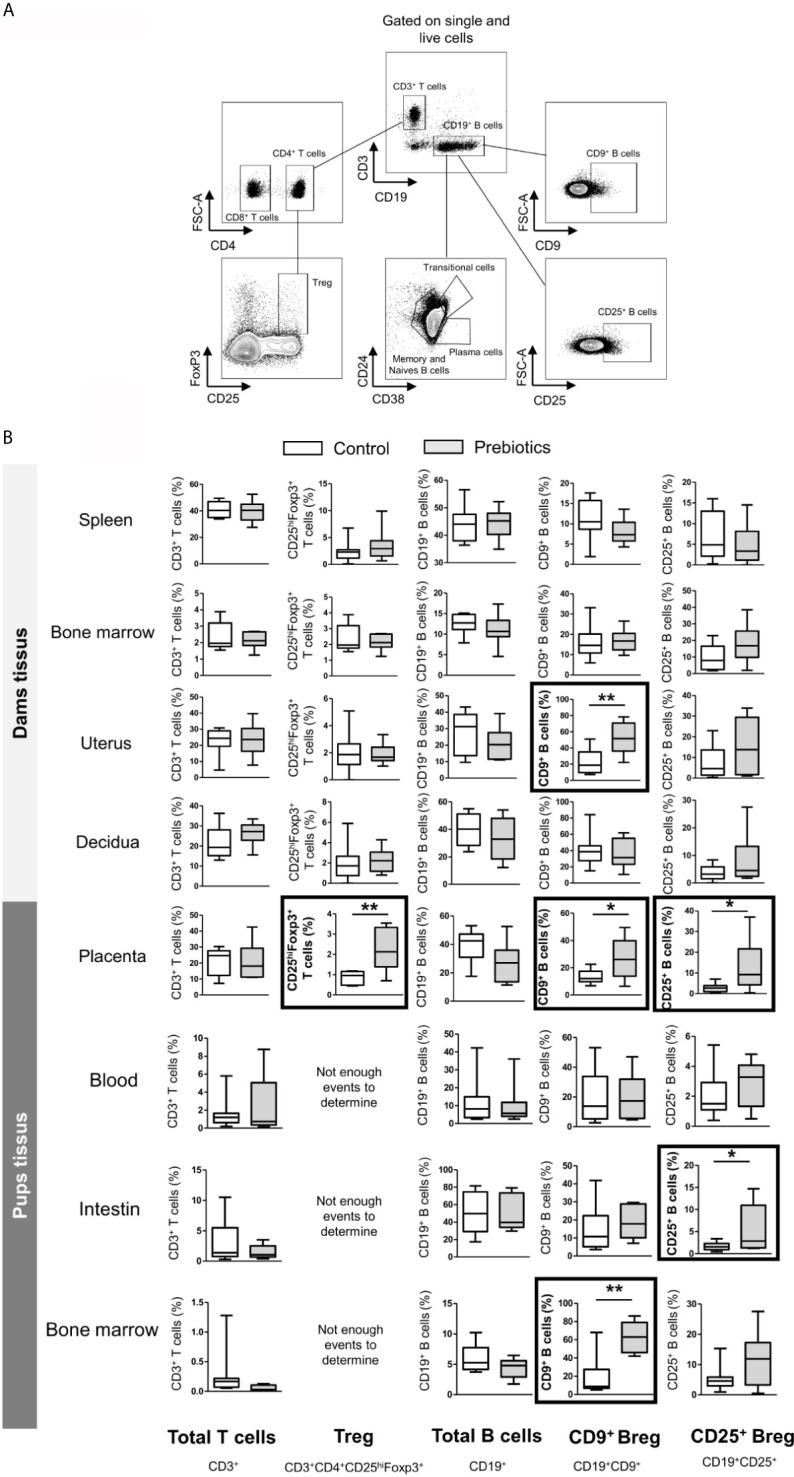 Figure 6