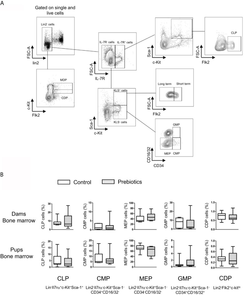 Figure 4