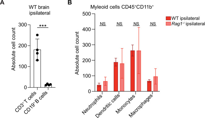 Figure 2—figure supplement 3.