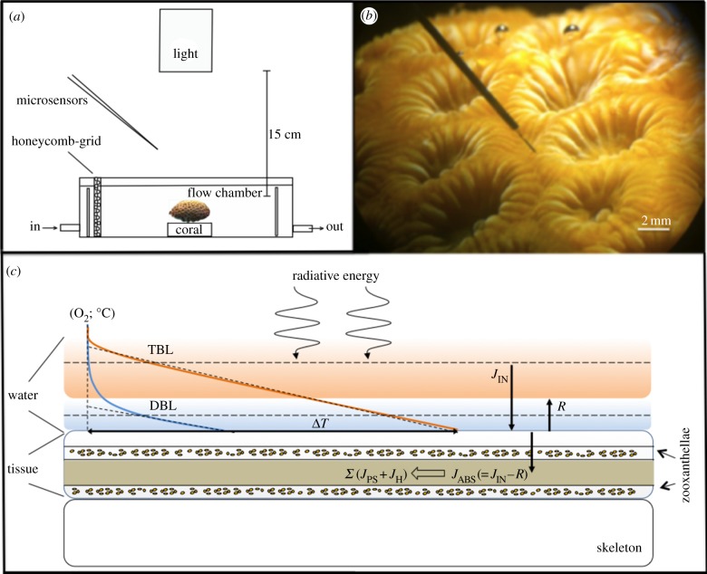 Figure 1.