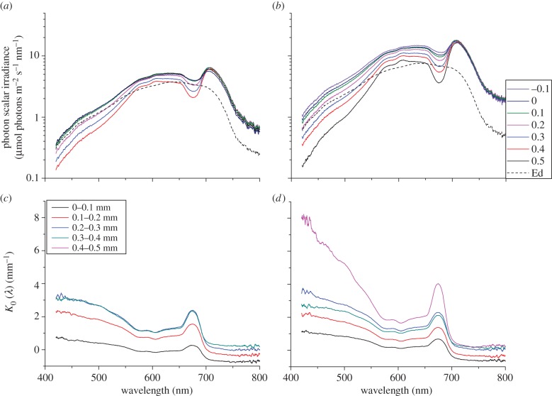 Figure 2.