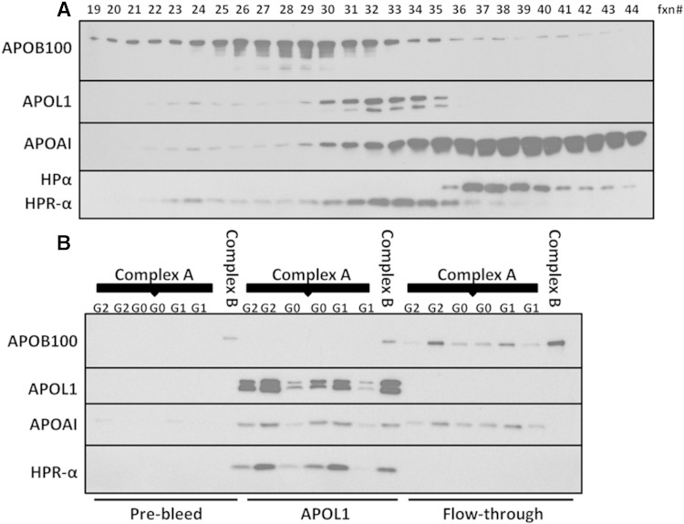 Fig. 8.