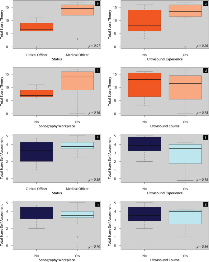 Presentation of possible factors influencing objective (a–d) and subjective (e–g) theoretical competence improvement