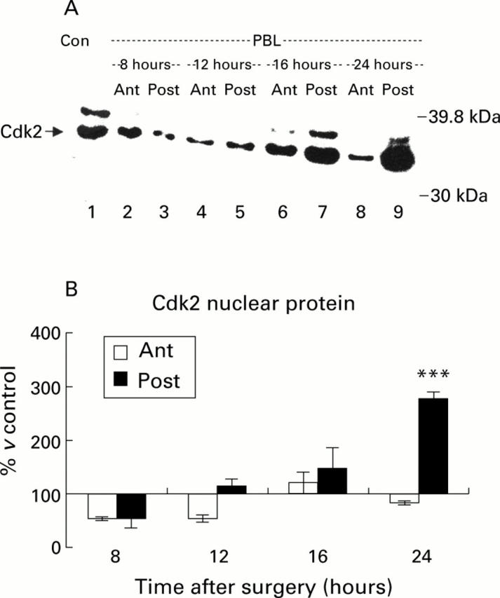 Figure 6  