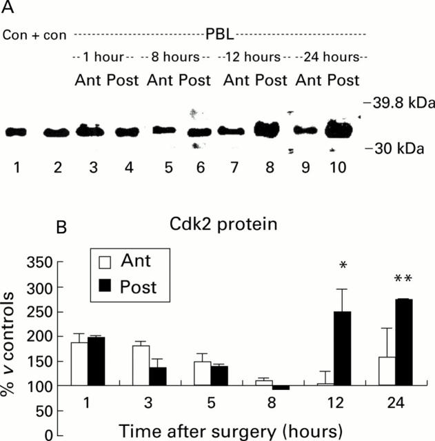 Figure 5  