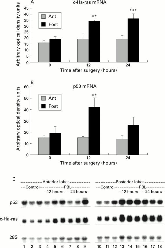 Figure 1  