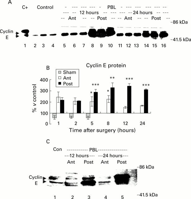 Figure 4  