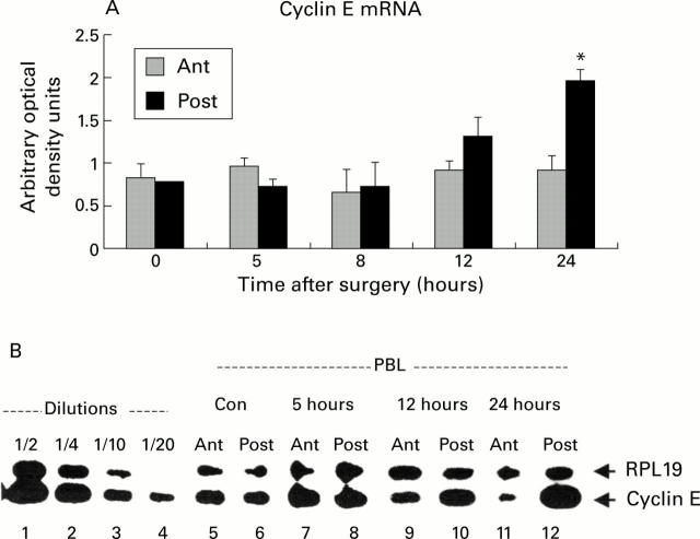 Figure 3  