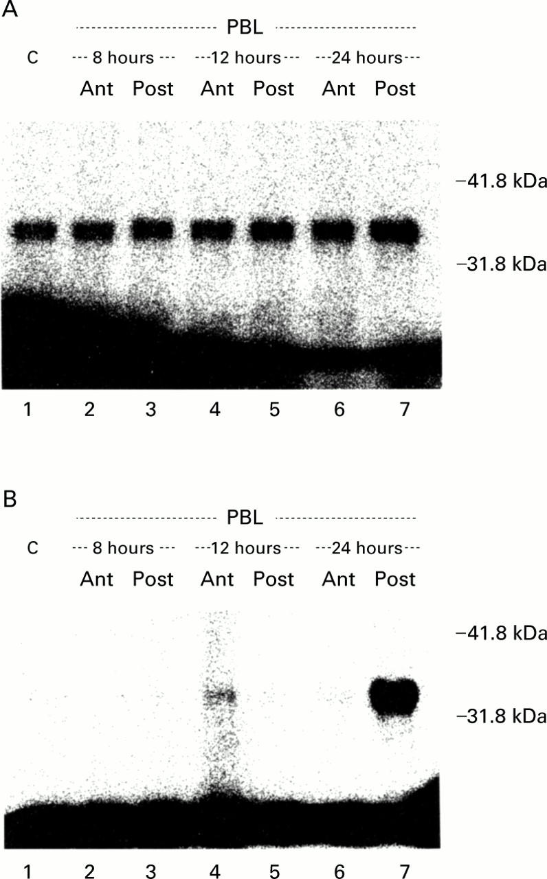 Figure 7  