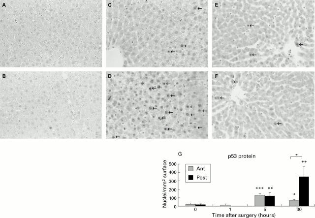 Figure 2  