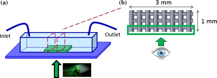 Figure 2