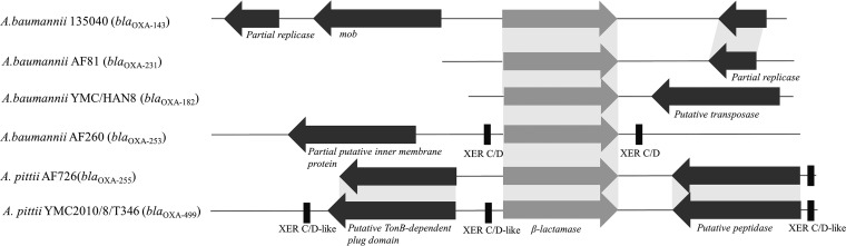 FIG 1