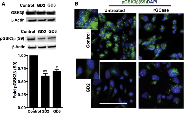 Figure 7