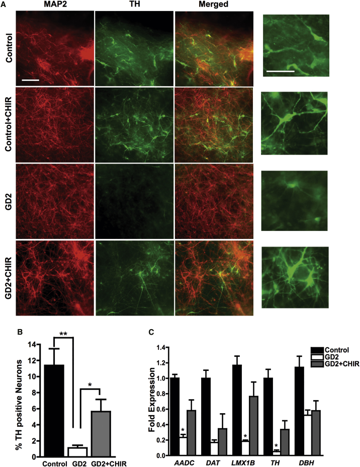 Figure 4