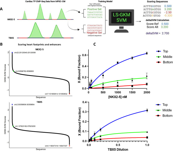 Figure 2: