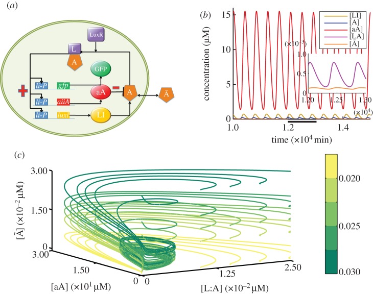 Figure 2.