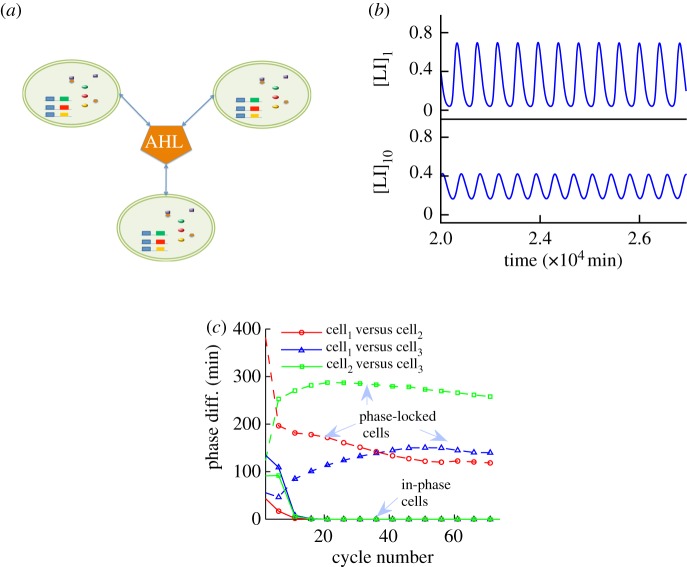 Figure 5.