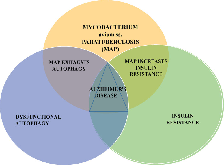 Figure 1