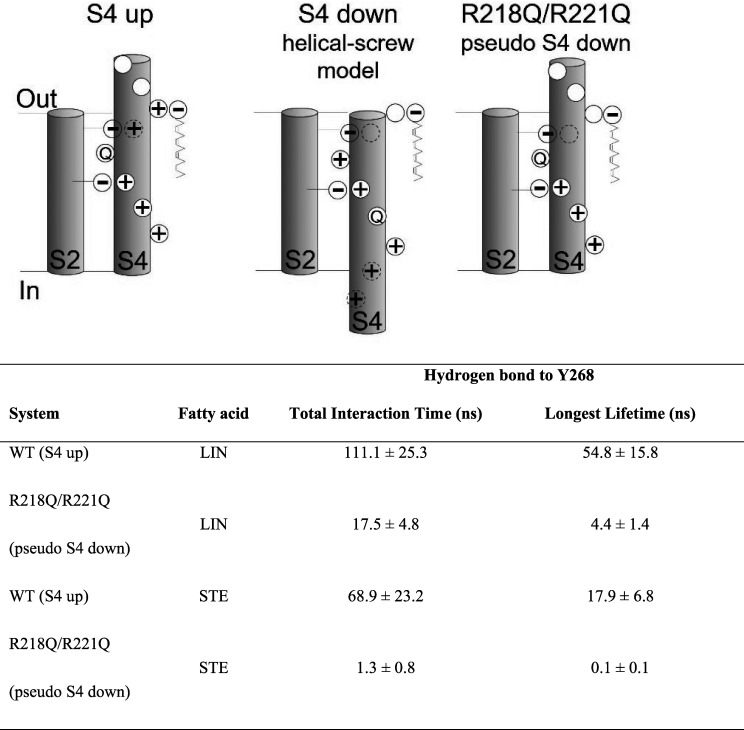 Figure S10.