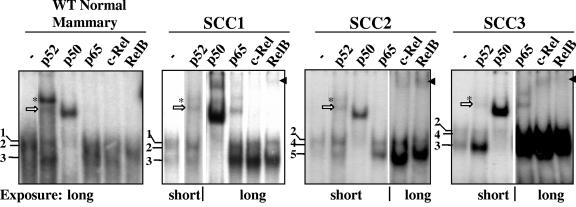 FIG. 10.