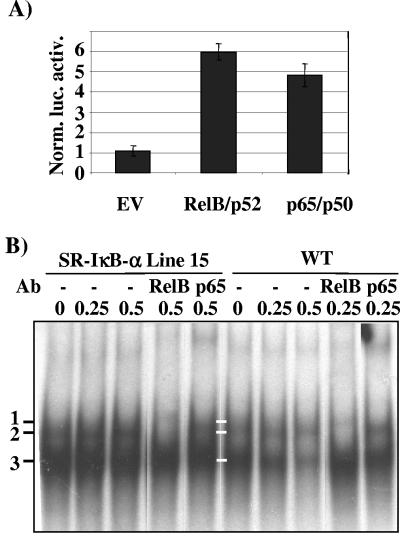 FIG. 6.