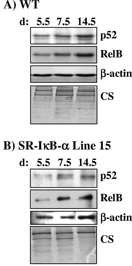 FIG. 5.