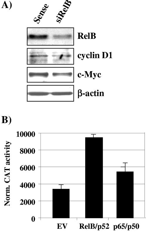 FIG. 11.