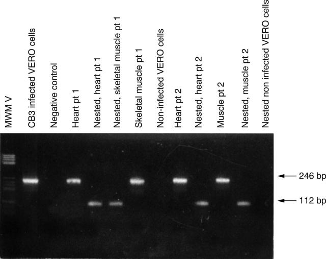 Figure 3  