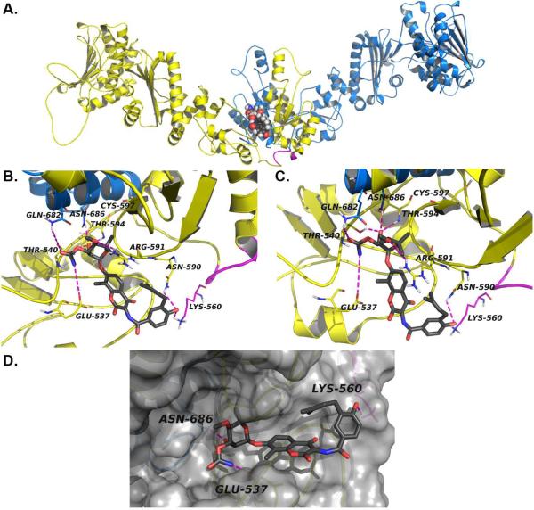 Figure 6