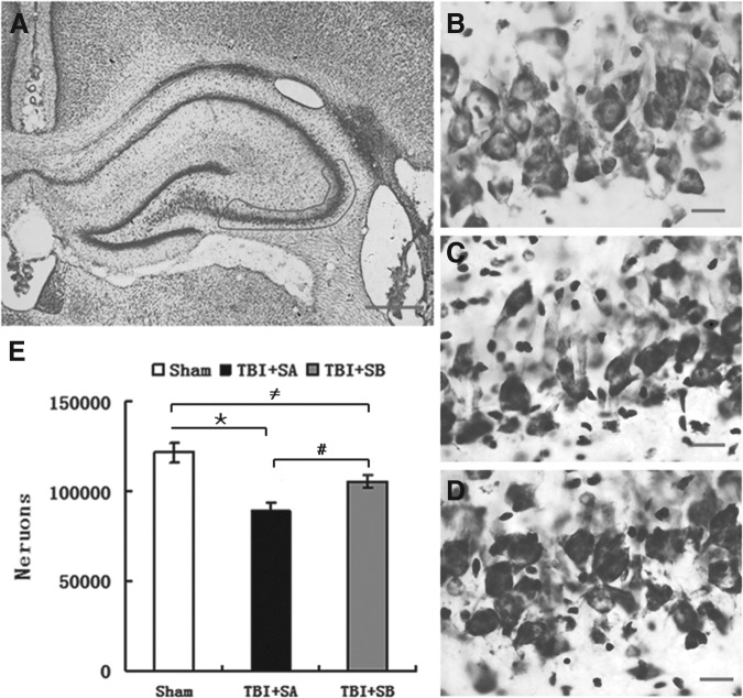 FIG. 8.