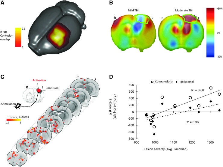 FIG. 2.