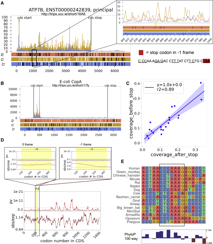 Figure 2