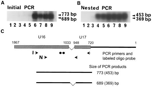 FIG. 9