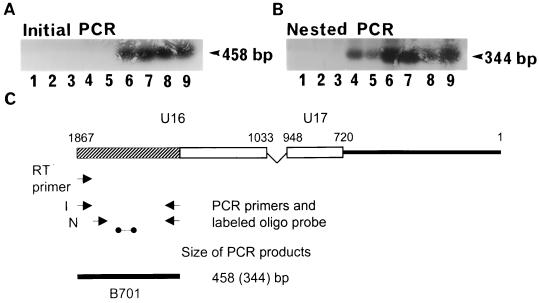 FIG. 8