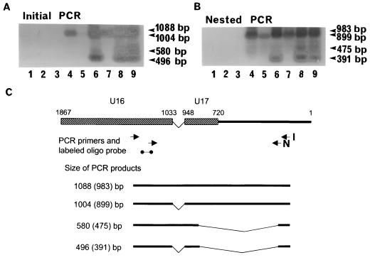 FIG. 10