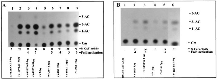 FIG. 13