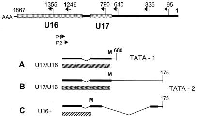 FIG. 6