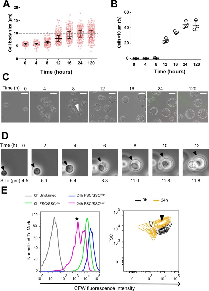 Fig 3