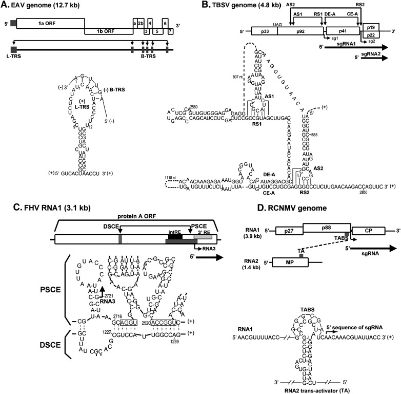 Fig. 3