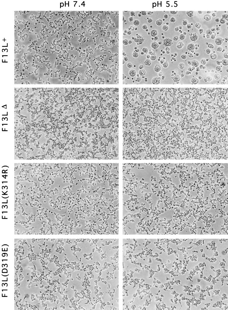 FIG. 6